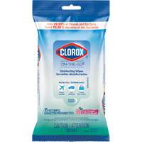 Disinfecting Wipes On the Go, 15 Count Les Distributions ICE