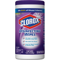 Disinfecting Wipes, 75 Count Les Distributions ICE