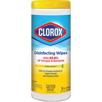 Disinfecting Wipes, 35 Count Les Distributions ICE