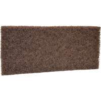 Coarse Scrub Pad, 10" L x 4-1/2" W Les Distributions ICE