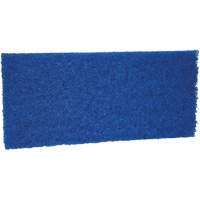 Medium Scrub Pad, 10" L x 4-1/2" W Les Distributions ICE