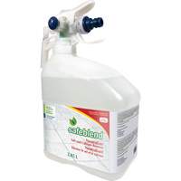 Concentrated Descaler, Cleaner & Dust Remover, Jug, 4 L Les Distributions ICE