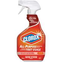 All-Purpose Disinfecting Cleaner Spray, 946 ml, Trigger Bottle Les Distributions ICE