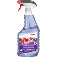 Windex&reg; Ammonia-Free Multi-Surface Cleaner, 946 ml, Trigger Bottle Les Distributions ICE