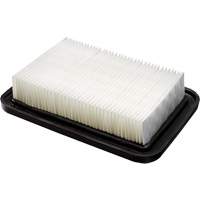 PTFE Membrane Main Filter, Foam, Fits 8 US gal. Les Distributions ICE
