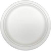 Molded Fiber Disposable Plates Les Distributions ICE