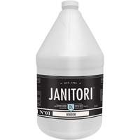 Janitori 01 Window Cleaner, 4 L, Jug Les Distributions ICE