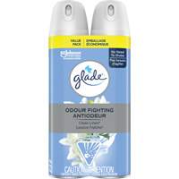 Air Freshener, Clean Linen&reg;, Aerosol Can Les Distributions ICE