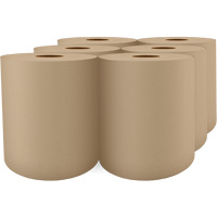 Pro Select&reg; High-Capacity Paper Towel, 1 Ply, Standard, 1000' L Les Distributions ICE