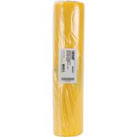 Hazardous Waste Liners, Asbestos, 40" L x 26" W, 3 mils Les Distributions ICE