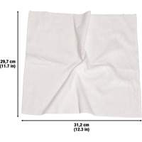 Washable Cleaning Cloths, Microfibre, White Les Distributions ICE