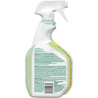 Nettoyant d&eacute;sinfectant CloroxPro Clorox EcoClean, 946 ml, Bouteille &agrave; g&acirc;chette Les Distributions ICE