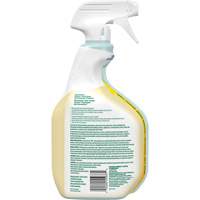 CloroxPro Clorox EcoClean All-Purpose Cleaner, 946 ml, Trigger Bottle Les Distributions ICE