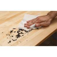 Lingettes nettoyantes emball&eacute;es individuellement, 12 lingettes, 8" x 9-1/2" Les Distributions ICE