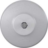 HyDrive Round Drill Brush, Extra Stiff Bristles, 3-1/10" Long, White Les Distributions ICE