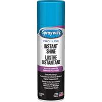 Brillant instantan&eacute; Pro Line pour surfaces en plastique, 11 oz, Canette a&eacute;rosol Les Distributions ICE