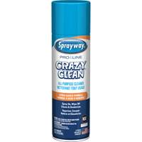 Pro Line Crazy Clean&reg; All Purpose Cleaner, 19 oz., Aerosol Can Les Distributions ICE