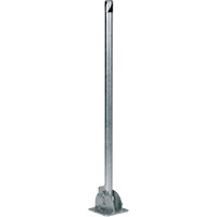 Fold-Down Bollards, Steel, 42" H x 1-3/4" W, Silver Les Distributions ICE