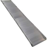 Rampe de promenade en aluminium, Capacit&eacute; de 1000 lb, 38" la x 193-1/8" lo Les Distributions ICE