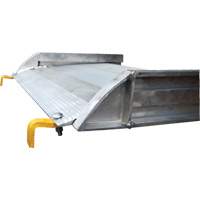 Rampe de promenade en aluminium, Capacit&eacute; de 1000 lb, 38" la x 193-1/8" lo Les Distributions ICE