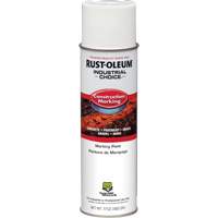 Water Based Marking Paint, 17 oz., Aerosol Can Les Distributions ICE