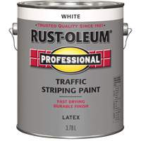 Peinture pour traçage de lignes de circulation, Blanc, 3,78 L, Cruche Les Distributions ICE