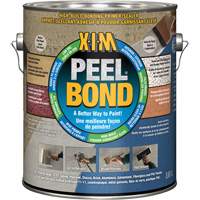 X-I-M&reg; Advanced Technology UMA&reg; Primer/Sealer, 3.61 L, Gallon, White Les Distributions ICE
