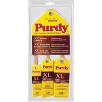 XL Paint Brush Multi-Pack, Poly/Nylon, Wood Handle Les Distributions ICE