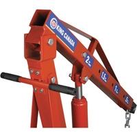 Grues d'atelier escamotables de 2 tonnes, Capacit&eacute; 4000 lb (2 tonnes) Les Distributions ICE