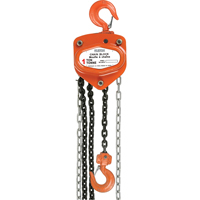 Chain Hoist, 10' Lift, 10000 lbs. Capacity, Alloy Steel Chain Les Distributions ICE