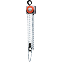 Hurricane 360° Chain Hoist, 10' Lift, 1000 lbs. (0.5 tons) Capacity, Steel Chain Les Distributions ICE