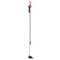 Mini Lever Hoist, 15' Lift, 500 lbs. (0.25 tons) Capacity, Steel Chain Les Distributions ICE