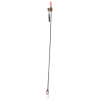 Mini Lever Hoist, 10' Lift, 1000 lbs. (0.5 tons) Capacity, Steel Chain Les Distributions ICE