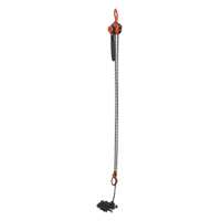 Mini Lever Hoist, 15' Lift, 1000 lbs. (0.5 tons) Capacity, Steel Chain Les Distributions ICE