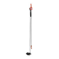 Mini Lever Hoist, 15' Lift, 1000 lbs. (0.5 tons) Capacity, Steel Chain Les Distributions ICE