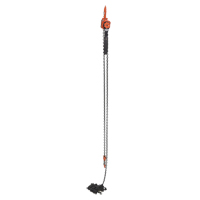 Mini Lever Hoist, 20' Lift, 1000 lbs. (0.5 tons) Capacity, Steel Chain Les Distributions ICE