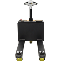 Fully Powered Electric Pallet Truck With  Scale, 3300 lbs. Cap., 48" L x 28.25" W Les Distributions ICE