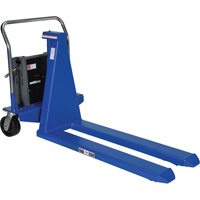 Electric Skid Lift, Steel, 2500 lbs. Capacity Les Distributions ICE