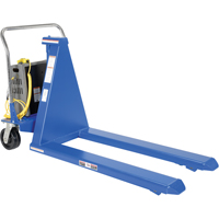 Electric Skid Lift, Steel, 2500 lbs. Capacity Les Distributions ICE