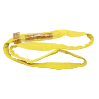 Polyester Round Sling, Yellow, 2-1/2" W x 10' L, 9000 lbs. Vertical Load Les Distributions ICE