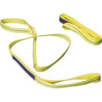 Nylon Sling, Double Ply, Double Eye, Type 3, 1" W x 6' L, 1000 lbs. Vertical Load Limit Les Distributions ICE