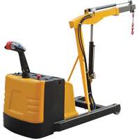 Grue d'atelier &eacute;lectrique, Lev&eacute;e 8,8', 1500 lb (0,75 tonne), 44-1/4" bras, 62-1/4" ha Les Distributions ICE