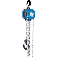 Tralift&reg; Manual Chain Hoist, 10' Lift, 4000 lbs. (2 tons) Capacity, Grade 80 Chain Les Distributions ICE
