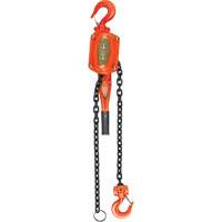 Lever Hoist, 5' Lift, 1500 lbs. (0.75 tons) Capacity, Alloy Steel Chain Les Distributions ICE