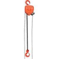 Chain Hoist, 20' Lift, 1000 lbs. (0.45 tons) Capacity, Alloy Steel Chain Les Distributions ICE