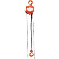 Chain Hoist, 20' Lift, 1000 lbs. (0.45 tons) Capacity, Alloy Steel Chain Les Distributions ICE