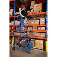 CSA-Certified Rolling Step Ladder, 5 Steps, 22" Step Width, 46" Platform Height, Steel Les Distributions ICE