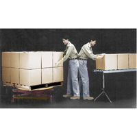 Spring-Operated Pallet Lifters - Pallet Pal&reg;, 43-5/8" L x 43-5/8" W, 4500 lbs. Cap. Les Distributions ICE