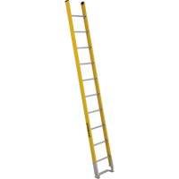 Single Section Straight Ladder - 6100 Series, 10', Fibreglass, 375 lbs., CSA Grade 1AA Les Distributions ICE
