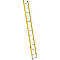 Single Section Straight Ladder - 6100 Series, 12', Fibreglass, 375 lbs., CSA Grade 1AA Les Distributions ICE